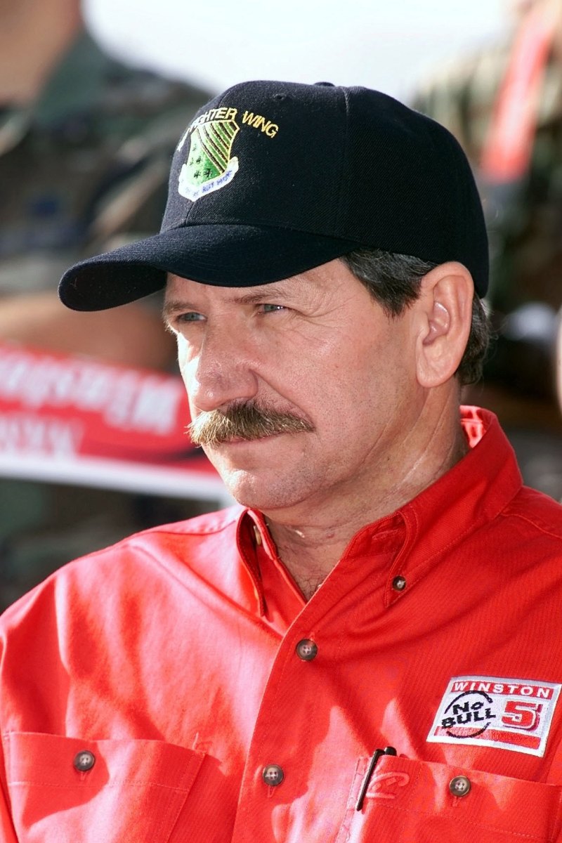 Dale Earnhardt mustache