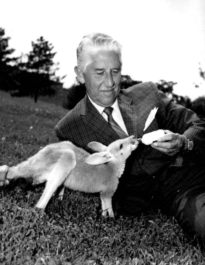 Marlin Perkins mustache